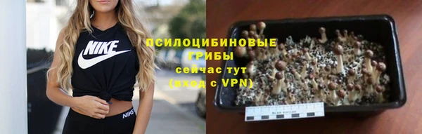 меф Арсеньев