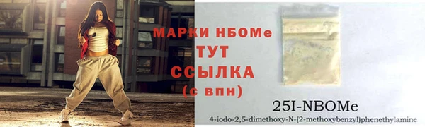 стаф Алзамай