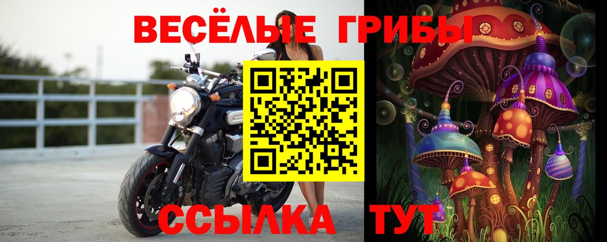 Курган  Псилоцибиновые грибы GOLDEN TEACHER  Вход с VPN 